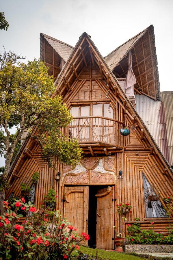 Chalet Ecoturismo La Nohelia Jericoc  Exterior photo